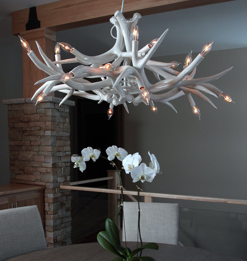 Chandelier - 12 Antlers (White) — Brookfield, Wisconsin. Image by Eroy Reyall